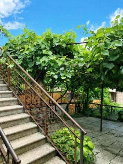 Achela'S Guesthouse Borjomi Exterior foto